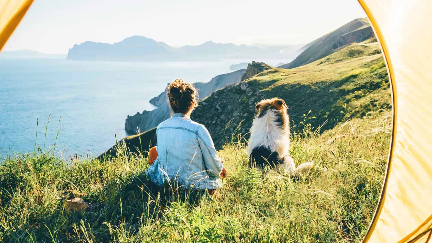 A woman and her border collie sit together on the lush grass outside a yellow camping tent, atop a cliffside looking out over an ocean bay towards a rocky cape in the distance.