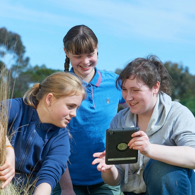 Three young girls outside, all looking at the screen of a tablet, one of the girls with her hands on a large bunch of golden dry grass, comparing what they’re seeing on the screen with the grass the girl has held onto.