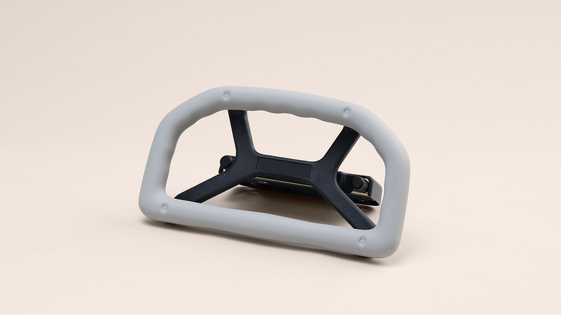 Rear Seat Assist Grip