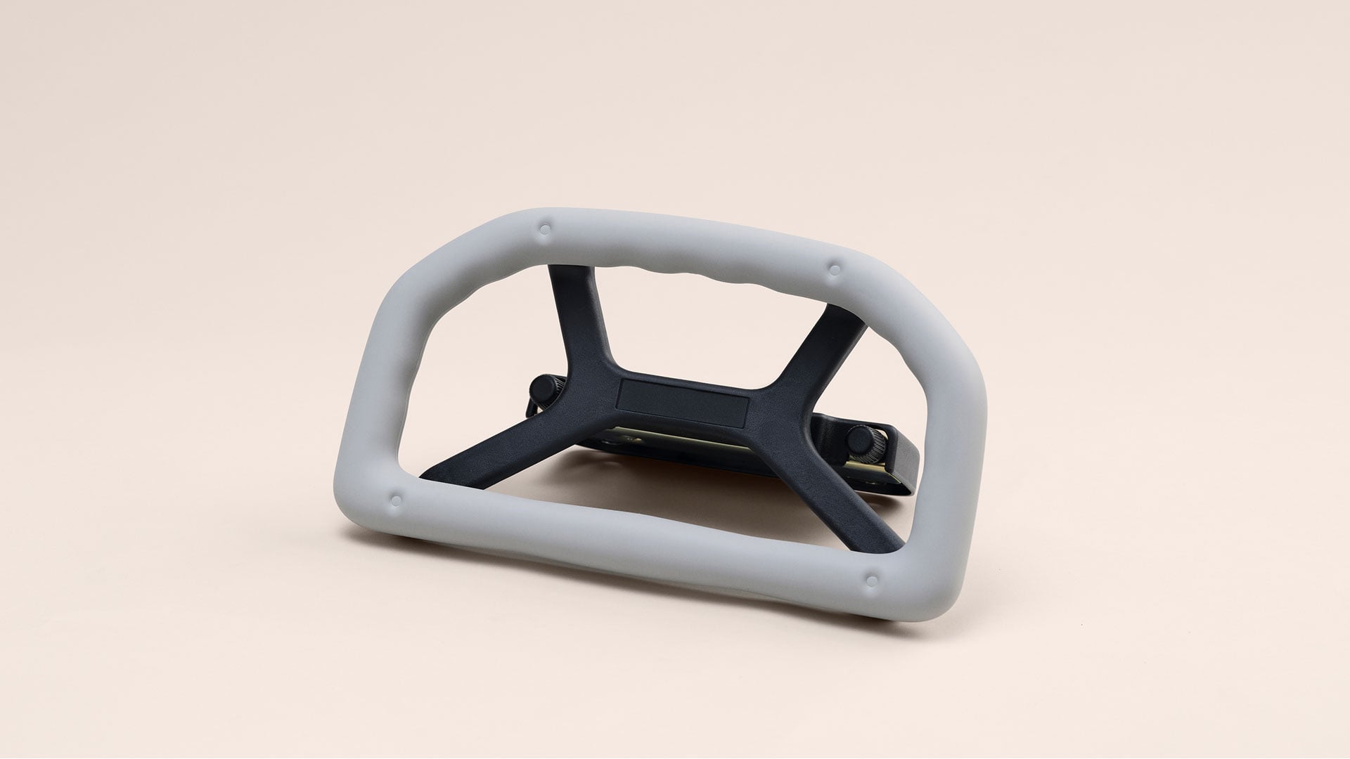 Rear Seat Assist Grip