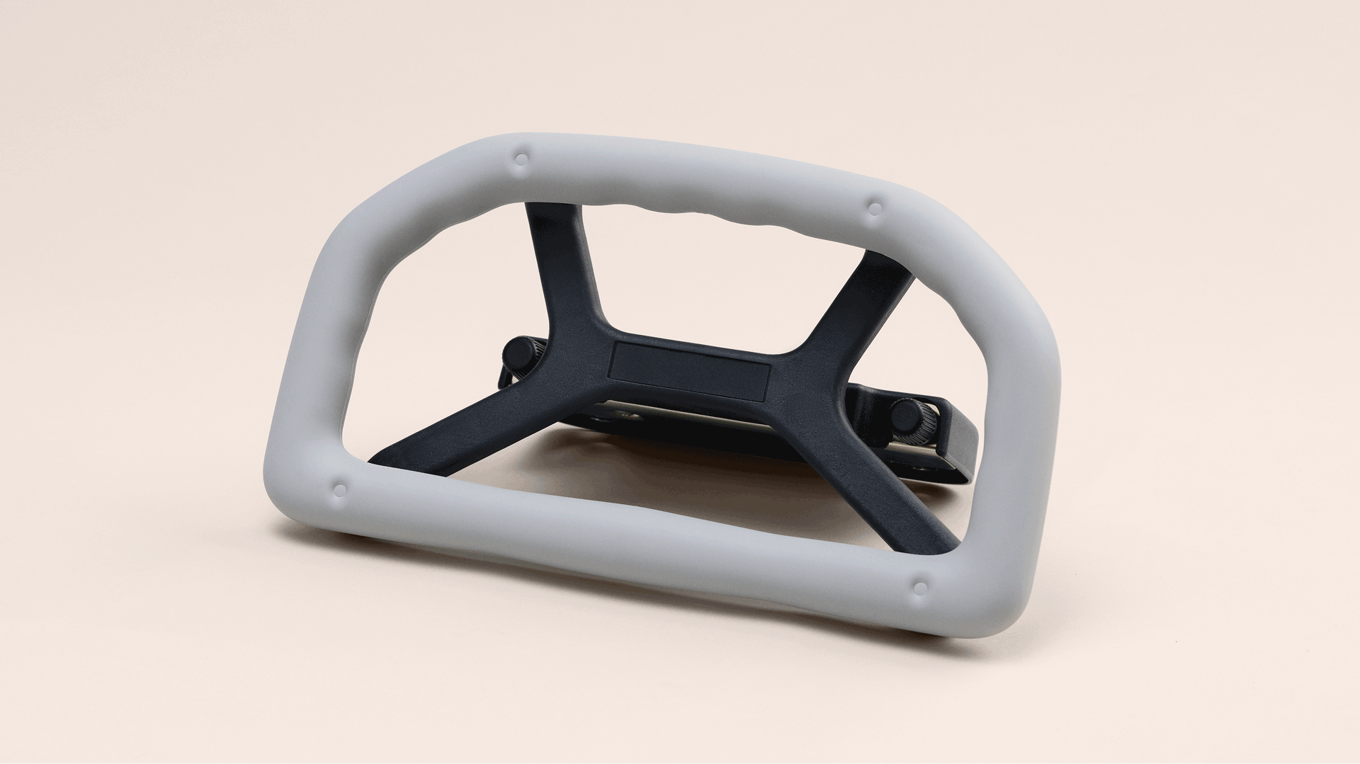 Rear Seat Assist Grip
