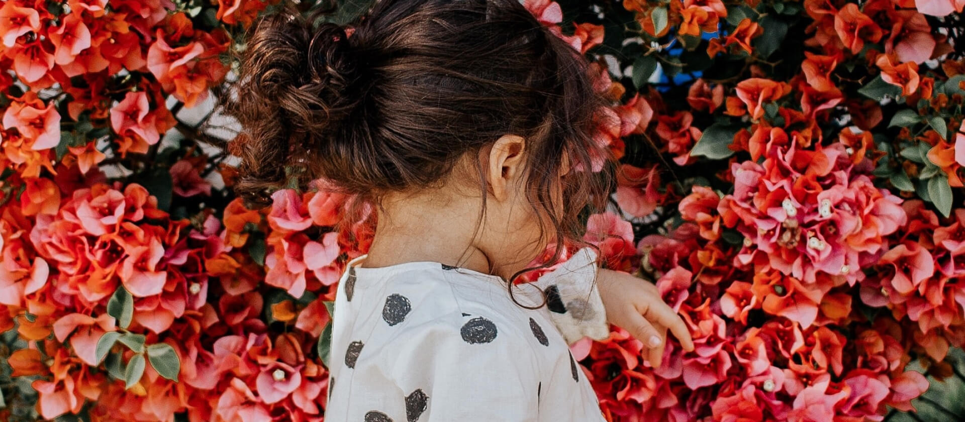 A young girl stands in front of a flower wall, curiously reaching out to touch them.