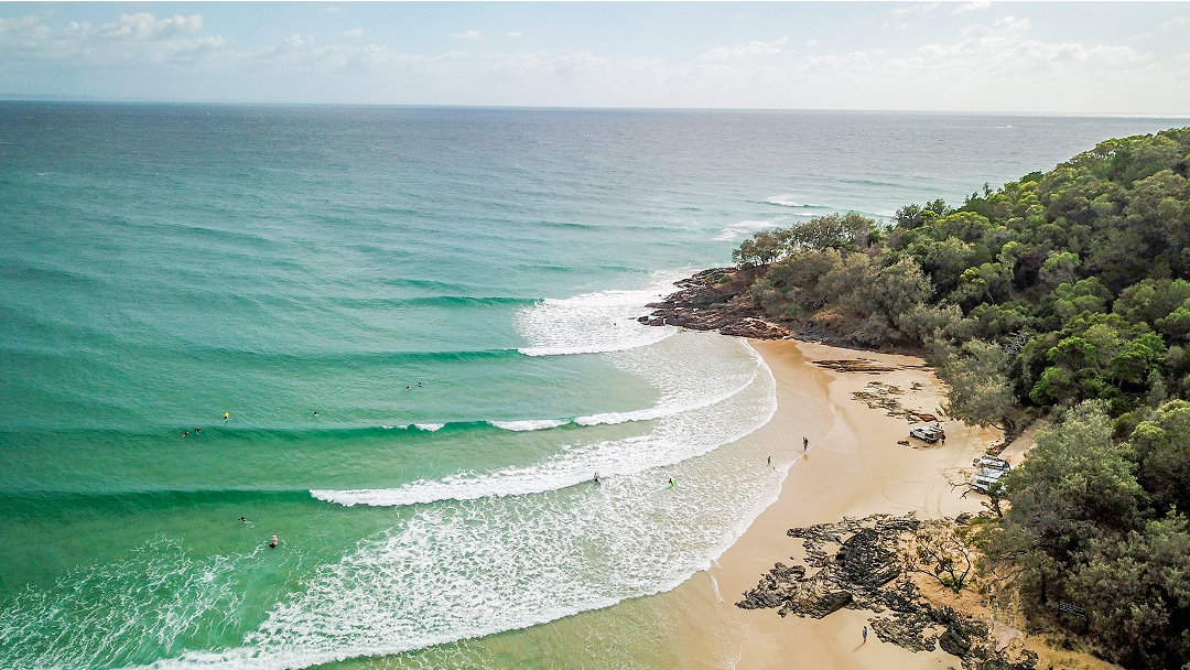 A coastal beach surrounded by bushland on the right, and crystal clear waters on the left.