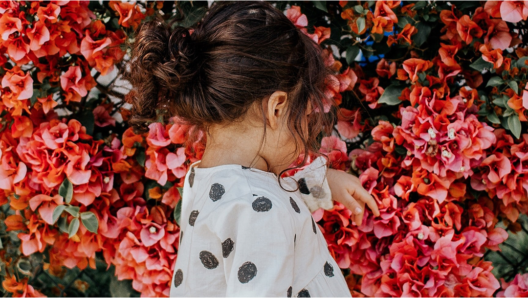 A young girl curiously touching a wall of bright red and pink flowers.