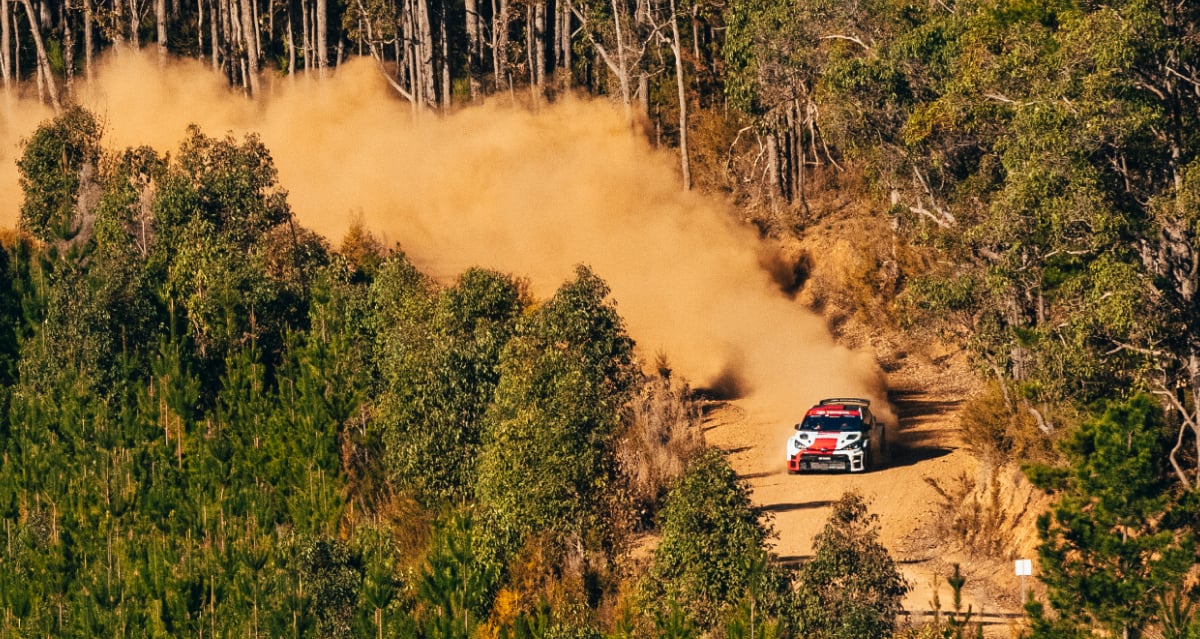 A Glacier White Toyota G R Yaris Rally 1 in racing livery rallying through a forest track. Plumes of orange dust trail behind.
