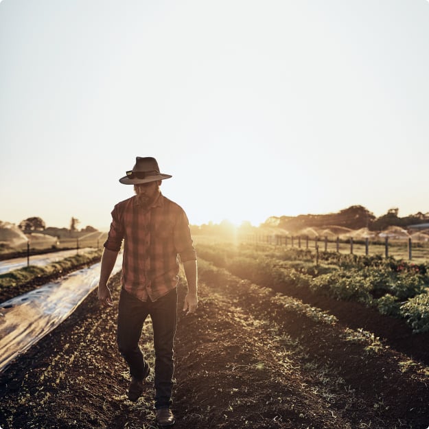 farmersunrise